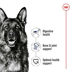 Royal Canin Maxi Adult Gravy Köpek Yaş Maması 140 Gr x 5 Adet - 7