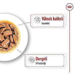Royal Canin Maxi Adult Gravy Köpek Yaş Maması 140 Gr x 5 Adet - 5