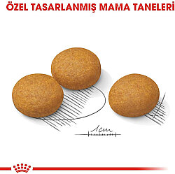 Royal Canin Maxi Dermacomfort Hassas Köpek Maması 12 Kg + Temizlik Mendili - 4