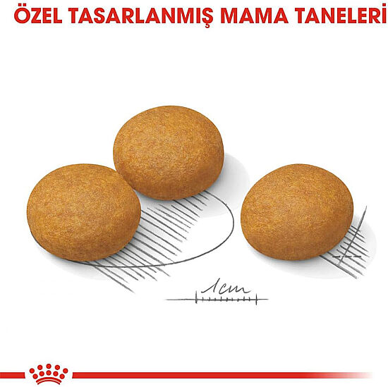 Royal Canin Maxi Dermacomfort Hassas Köpek Maması 12 Kg + Temizlik Mendili - 4