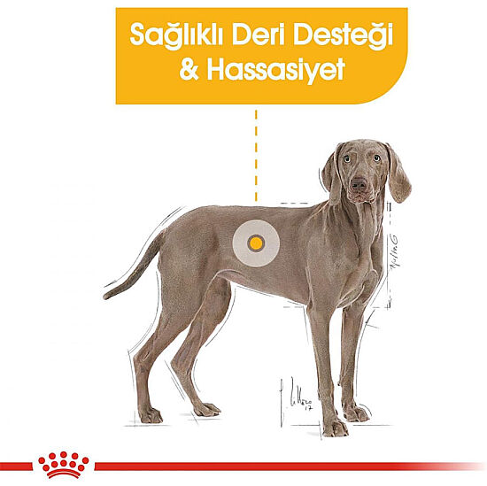 Royal Canin Maxi Dermacomfort Hassas Köpek Maması 12 Kg x 2 Adet + Temizlik Mendili - 3