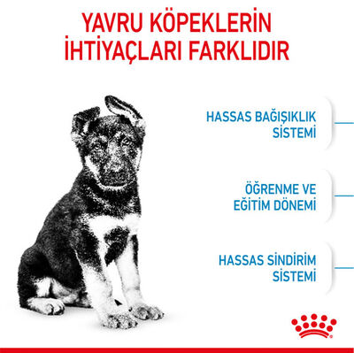 Royal Canin Maxi Puppy Büyük Irk Yavru Köpek Maması 10 Kg - 2 Al 1 Öde (Toplam: 20 Kg)