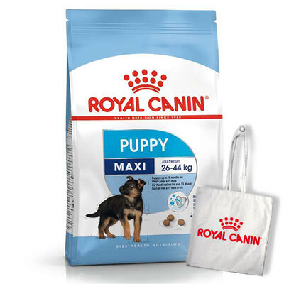Royal Canin Maxi Puppy Büyük Irk Yavru Köpek Maması 10 Kg + Bez Çanta