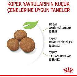 Royal Canin Maxi Puppy Büyük Irk Yavru Köpek Maması 15 Kg + Temizlik Mendili - 6