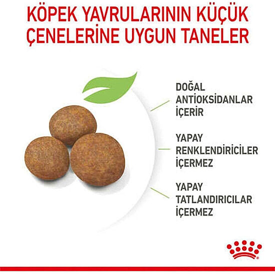 Royal Canin Maxi Puppy Büyük Irk Yavru Köpek Maması 15 Kg + Temizlik Mendili - 6