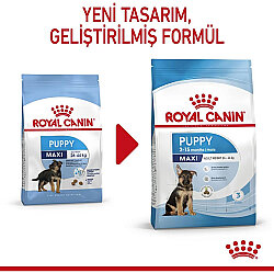 Royal Canin Maxi Puppy Büyük Irk Yavru Köpek Maması 15 Kg + Temizlik Mendili - 8