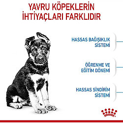 Royal Canin Maxi Puppy Büyük Irk Yavru Köpek Maması 15 Kg + Temizlik Mendili - 3
