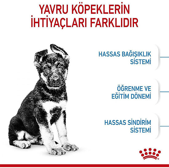 Royal Canin Maxi Puppy Büyük Irk Yavru Köpek Maması 15 Kg + Temizlik Mendili - 3