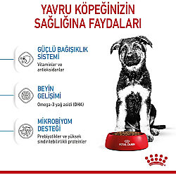 Royal Canin Maxi Puppy Büyük Irk Yavru Köpek Maması 15 Kg + Temizlik Mendili - 7