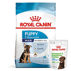 Royal Canin Maxi Puppy Büyük Irk Yavru Köpek Maması 15 Kg + 3 Adet Royal Canin Yavru Köpek Ödülü - Royal Canin