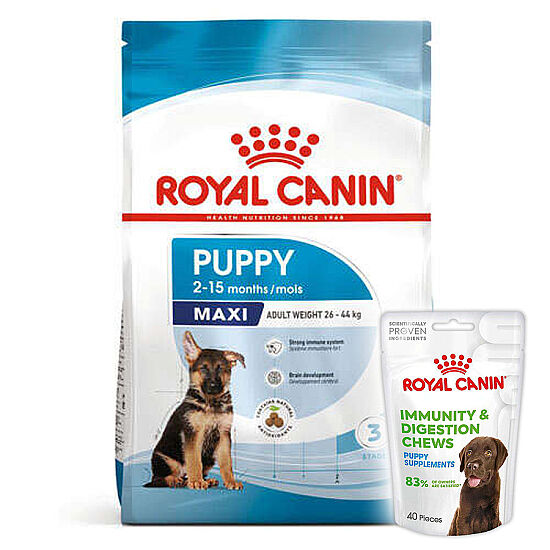 Royal Canin Maxi Puppy Büyük Irk Yavru Köpek Maması 15 Kg + 3 Adet Royal Canin Yavru Köpek Ödülü - 1