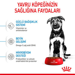 Royal Canin Maxi Puppy Büyük Irk Yavru Köpek Maması 15 Kg + Temizlik Mendili - Thumbnail