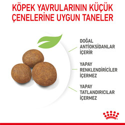 Royal Canin Maxi Puppy Büyük Irk Yavru Köpek Maması 15 Kg - Thumbnail