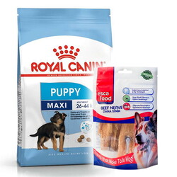 Royal Canin - Royal Canin Maxi Puppy Büyük Irk Yavru Köpek Maması 15 Kg + Esca Food Köpek Ödülü