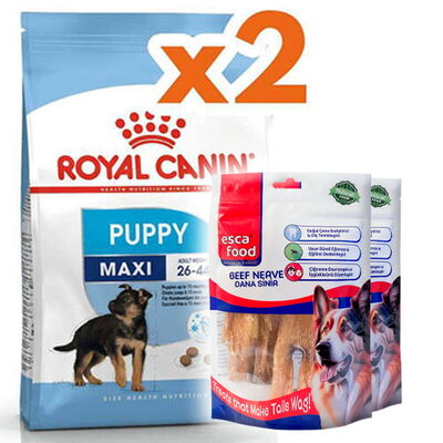 Royal Canin Maxi Puppy Büyük Irk Yavru Köpek Maması 15 Kg x 2 Adet + 2 Adet Esca Food Köpek Ödülü