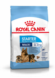 Royal Canin - Royal Canin Maxi Starter Büyük Irk Anne ve Yavru Köpek Maması 15 Kg + 4 Adet Temizlik Mendili