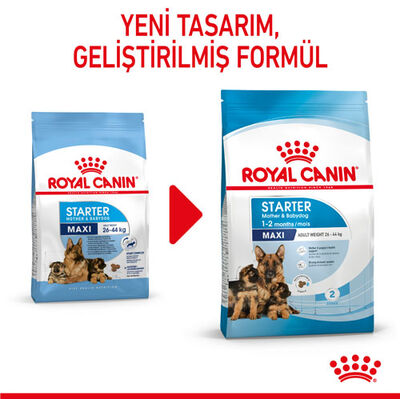 Royal Canin Maxi Starter Büyük Irk Anne ve Yavru Köpek Maması 15 Kg + 4 Adet Temizlik Mendili