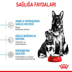 Royal Canin Maxi Starter Büyük Irk Anne ve Yavru Köpek Maması 15 Kg + 4 Adet Temizlik Mendili - Thumbnail