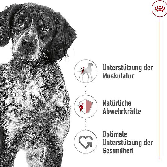 Royal Canin Medium Adult Gravy Köpek Yaş Maması 140 Gr - 7