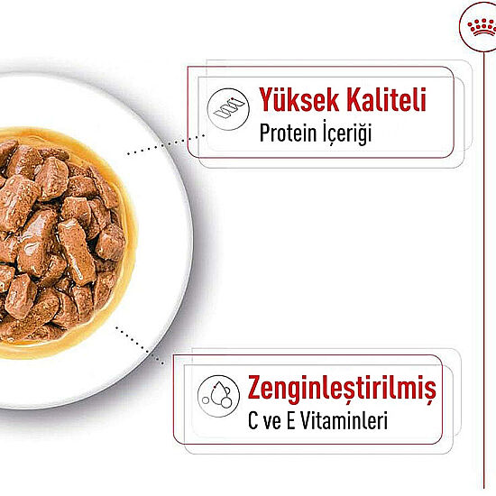 Royal Canin Medium Adult Gravy Köpek Yaş Maması 140 Gr x 10 Adet - 5
