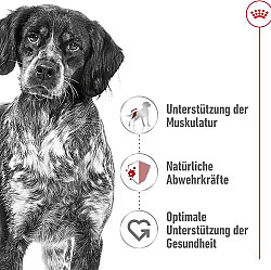 Royal Canin Medium Adult Gravy Köpek Yaş Maması 140 Gr x 5 Adet - 8
