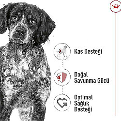 Royal Canin Medium Adult Gravy Köpek Yaş Maması 140 Gr x 5 Adet - 5