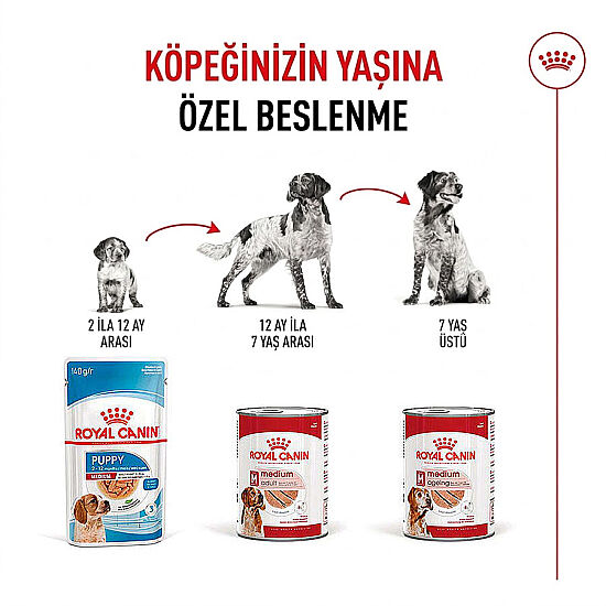 Royal Canin Medium Adult Orta Irk Köpek Konservesi 410 Gr x 12 Adet - 5