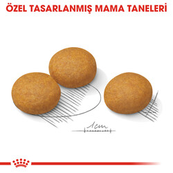 Royal Canin Medium Dermacomfort Deri Sağlığı Köpek Maması 12 Kg + Wanpy Creamy Treat 5x14 Gr - Thumbnail