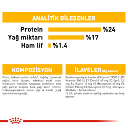 Royal Canin Medium Dermacomfort Deri Sağlığı Köpek Maması 12 Kg + Wanpy Creamy Treat 5x14 Gr - Thumbnail