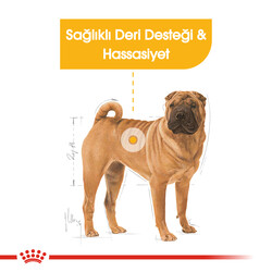 Royal Canin Medium Dermacomfort Deri Sağlığı Köpek Maması 12 Kg + 4 Adet Temizlik Mendili - Thumbnail