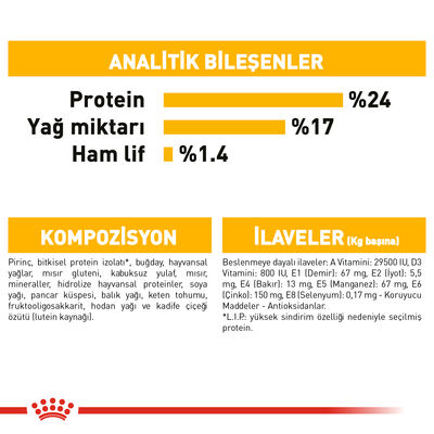 Royal Canin Medium Dermacomfort Deri Sağlığı Köpek Maması 12 Kg