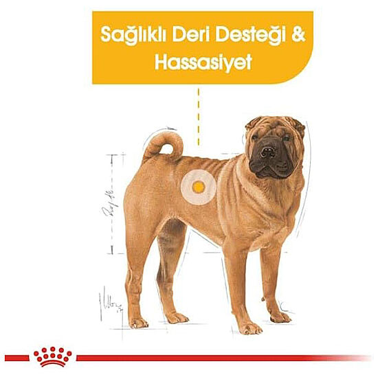 Royal Canin Medium Dermacomfort Deri Sağlığı Köpek Maması 12 Kg x 2 Adet + Temizlik Mendili - 4