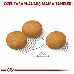 Royal Canin Medium Dermacomfort Deri Sağlığı Köpek Maması 12 Kg x 2 Adet + Temizlik Mendili - 6