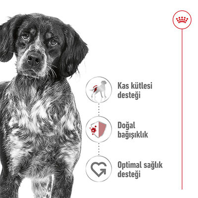 Royal Canin Medium Orta Irk Köpek Maması 15 Kg + Temizlik Mendili