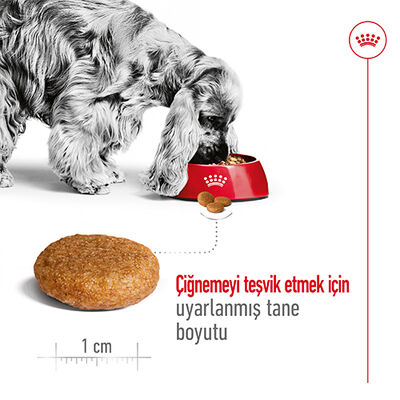 Royal Canin Medium Orta Irk Köpek Maması 15 Kg x 2 Adet + 2 Adet Wanpy Creamy Treat 5x14 Gr