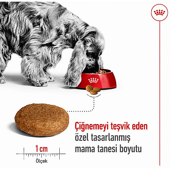 Royal Canin Medium Orta Irk Köpek Maması 15 Kg x 2 Adet + Temizlik Mendili - 7