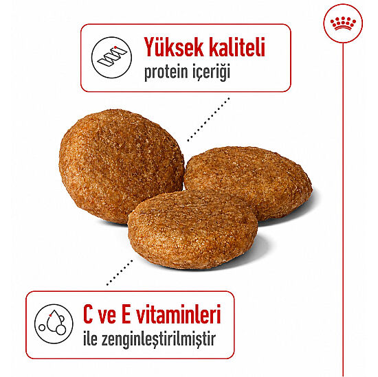 Royal Canin Medium Orta Irk Köpek Maması 15 Kg x 2 Adet + Temizlik Mendili - 8