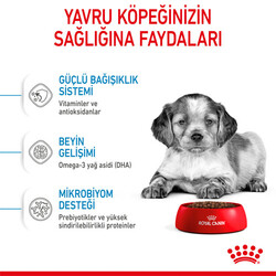 Royal Canin Medium Puppy Orta Irk Yavru Köpek Maması 15 Kg + Temizlik Mendili - Thumbnail