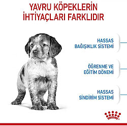 Royal Canin Medium Puppy Orta Irk Yavru Köpek Maması 15 Kg x 2 Adet + Temizlik Mendili - 4
