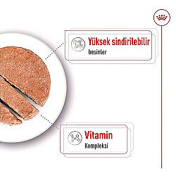 Royal Canin Mini Adult Küçük Irk Köpek Konservesi 195 Gr x 12 Adet - 4