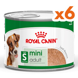 Royal Canin Mini Adult Küçük Irk Köpek Konservesi 195 Gr x 6 Adet - Royal Canin