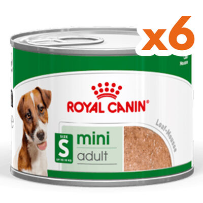Royal Canin Mini Adult Küçük Irk Köpek Konservesi 195 Gr x 6 Adet - 1