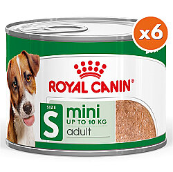 Royal Canin Mini Adult Küçük Irk Köpek Konservesi 195 Gr x 6 Adet - Royal Canin