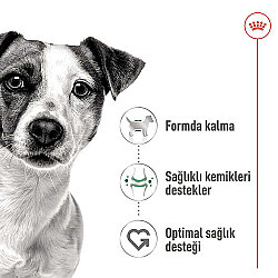 Royal Canin Mini Adult Küçük Irk Köpek Konservesi 195 Gr x 6 Adet - 4