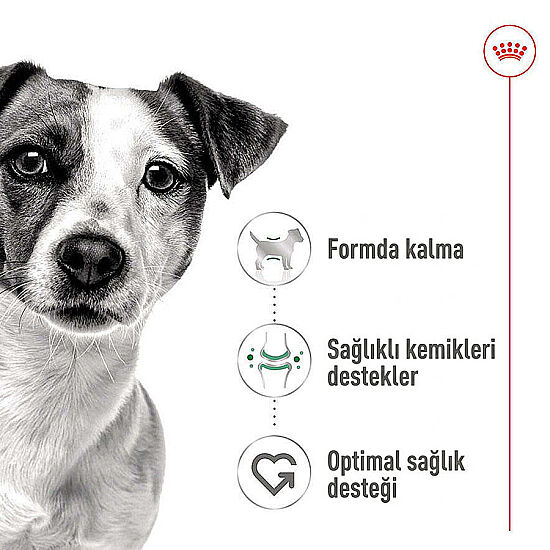 Royal Canin Mini Adult Küçük Irk Köpek Konservesi 195 Gr x 6 Adet - 4