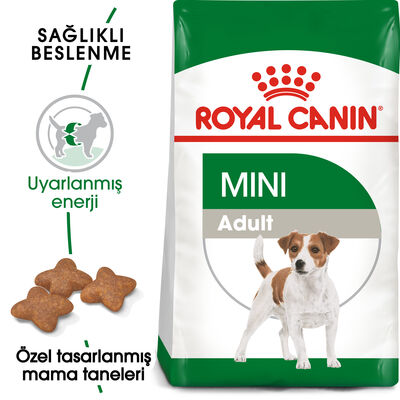 Royal Canin BOX Mini Adult Küçük Irk Köpek Maması 2 Kg + 2 Adet Royal Canin Yaş Mama