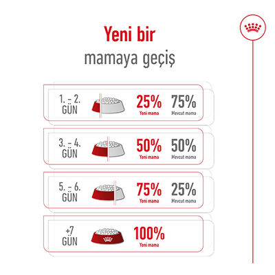 Royal Canin BOX Mini Adult Küçük Irk Köpek Maması 2 Kg + 2 Adet Royal Canin Yaş Mama
