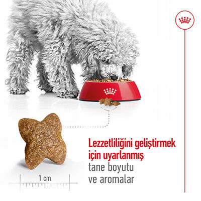 Royal Canin BOX Mini Adult Küçük Irk Köpek Maması 2 Kg + 2 Adet Royal Canin Yaş Mama