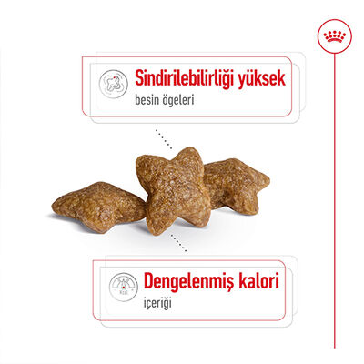 Royal Canin BOX Mini Adult Küçük Irk Köpek Maması 2 Kg + 2 Adet Royal Canin Yaş Mama