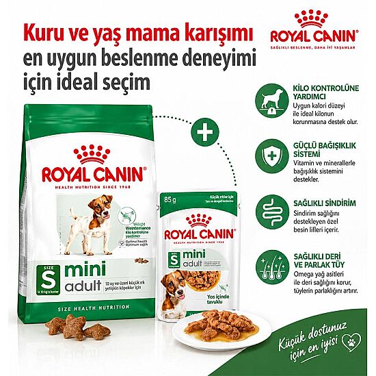 Royal Canin Mini Adult Küçük Irk Köpek Maması 4 Kg + Temizlik Mendili - 2